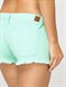 CBWCarnivals Embroidered Shorts by Roxy - DTL2