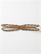TBNBluebird Belt by Roxy - FRT1