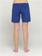 MRNThe Classic Long Boardshorts by Roxy - BCK1