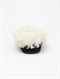 BWVGirls 7-&nbsp;4 Biscotti Slippers by Roxy - BCK1