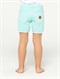 WTFGirls 2-6 Long Trippers Shorts by Roxy - BCK1