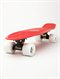 RBWPenny Skateboard by Roxy - FRT2