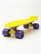 YYPPenny Skateboard by Roxy - FRT2